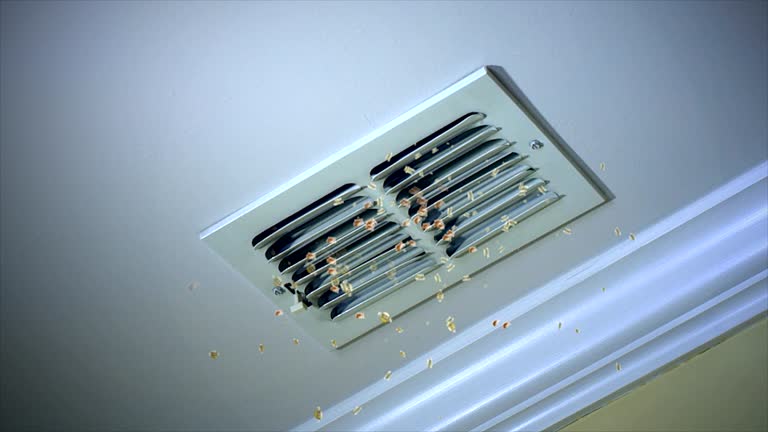 Best Local Air Duct Cleaning Services  in Ripley, OH