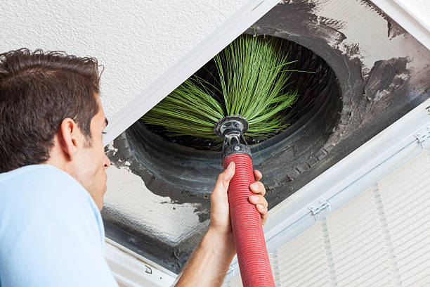 Best Ventilation Cleaning Services  in Ripley, OH