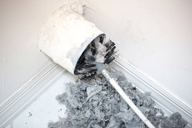 Best Best Air Duct Cleaning Near Me  in Ripley, OH