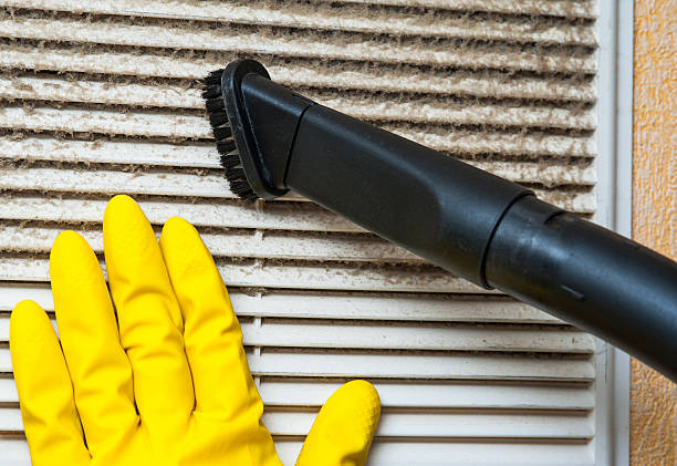 Best Ductwork Cleaning Services  in Ripley, OH