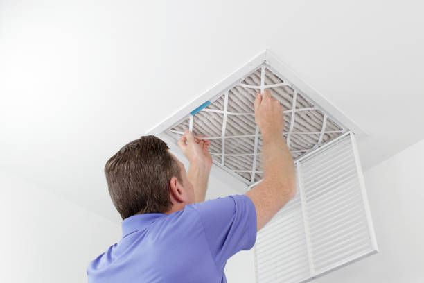Best Professional Duct Cleaning Services  in Ripley, OH